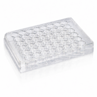 Placa de cultivo celular de 48 pocillos
