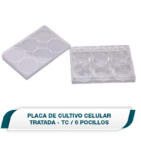 Placa de cultivo celular de 6 pocillos