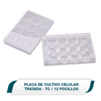Placa de cultivo celular de 12 pocillos