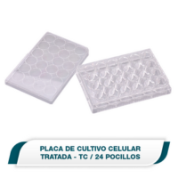 Placa de cultivo celular de 24 pocillos