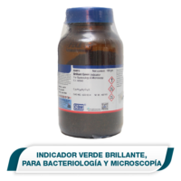 Indicador Verde Brillante
