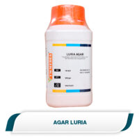 Agar Luria