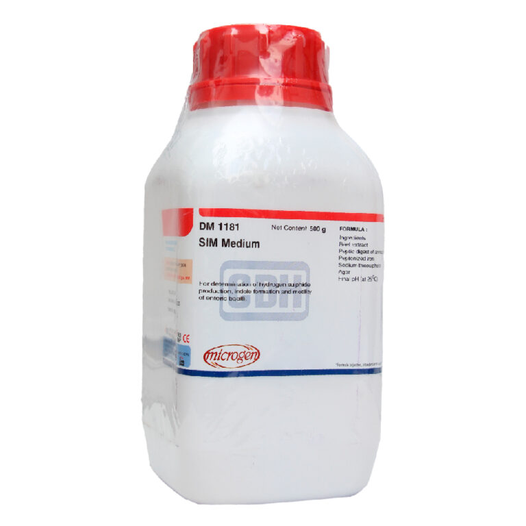 DM 1181-GALERÍA_Mesa de trabajo 1