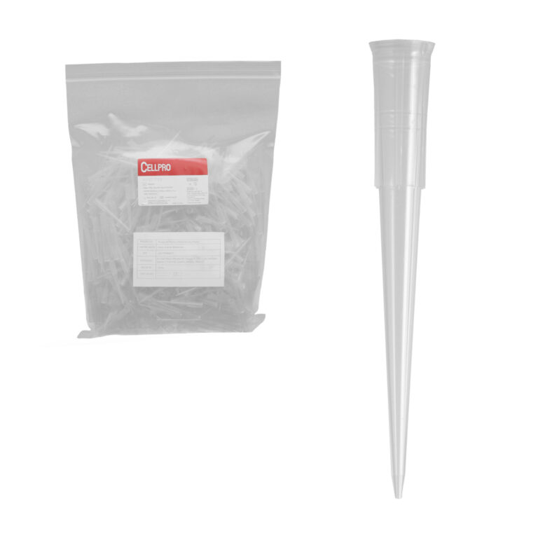 800204 PUNTA Y BOLSA