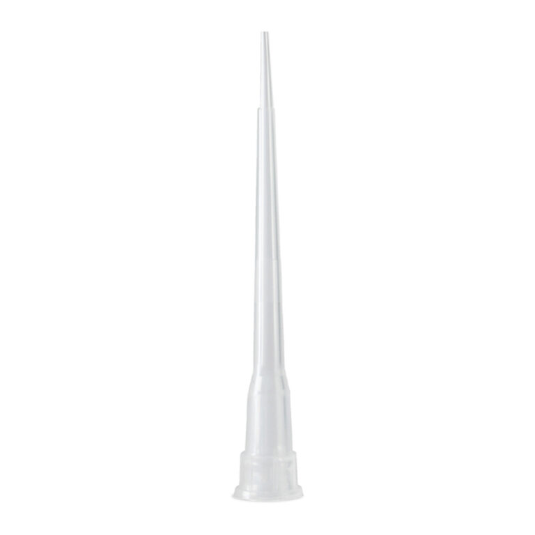 CLT10C01 JPG
